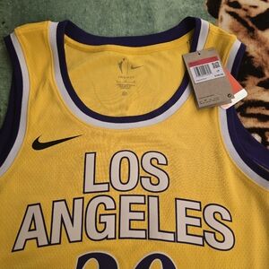 Nike Yellow and Purple Los Angeles Jersey